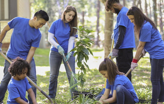 Group of environmental volunteers plant flowers, trees, and plants at local park during spring season.  Earth Day, Arbor Day themes.