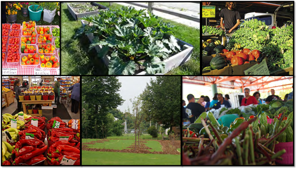 Photo Credit Clockwise from top left: Riverwest Gardeners Market, Guest House of Milwaukee, Richard M. Glaser, Mark Hoffman, Home GR/OWN, Fondy Food Market